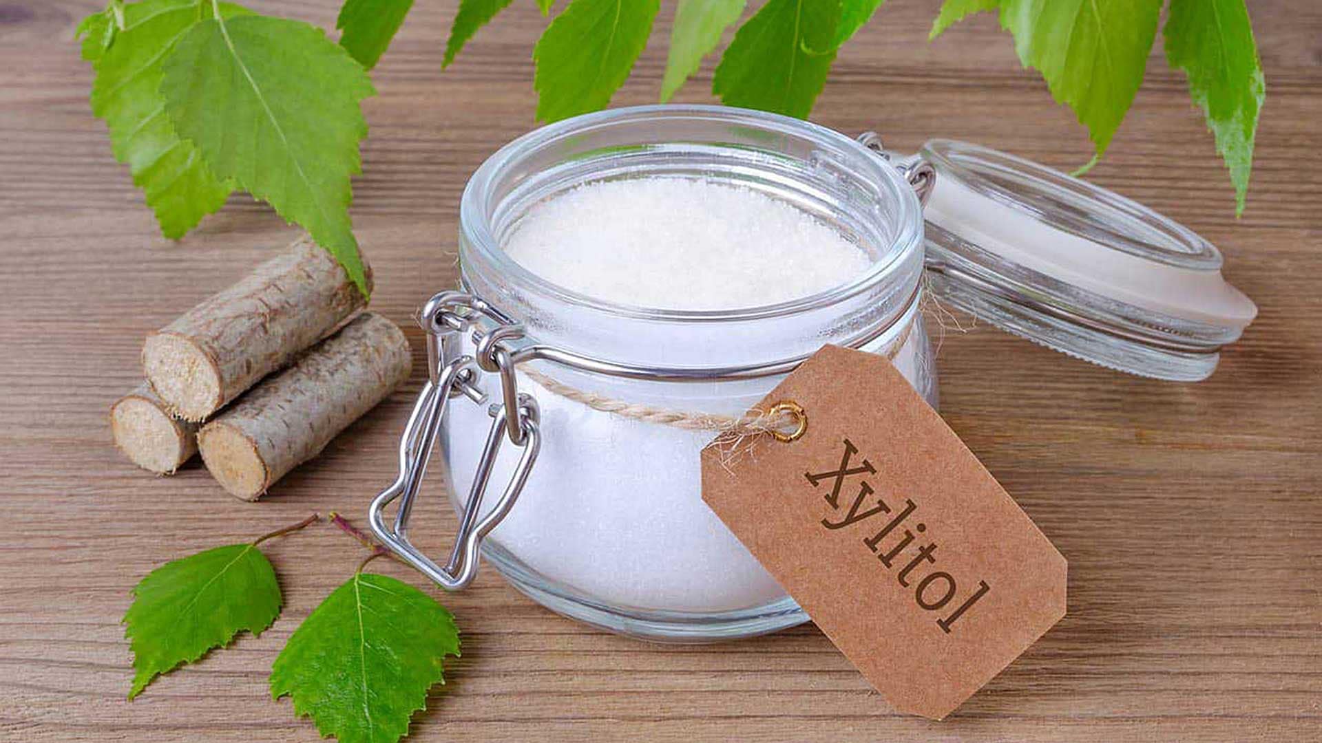 Xylitol The Dental and Denture Care Center Spring Hill, Florida